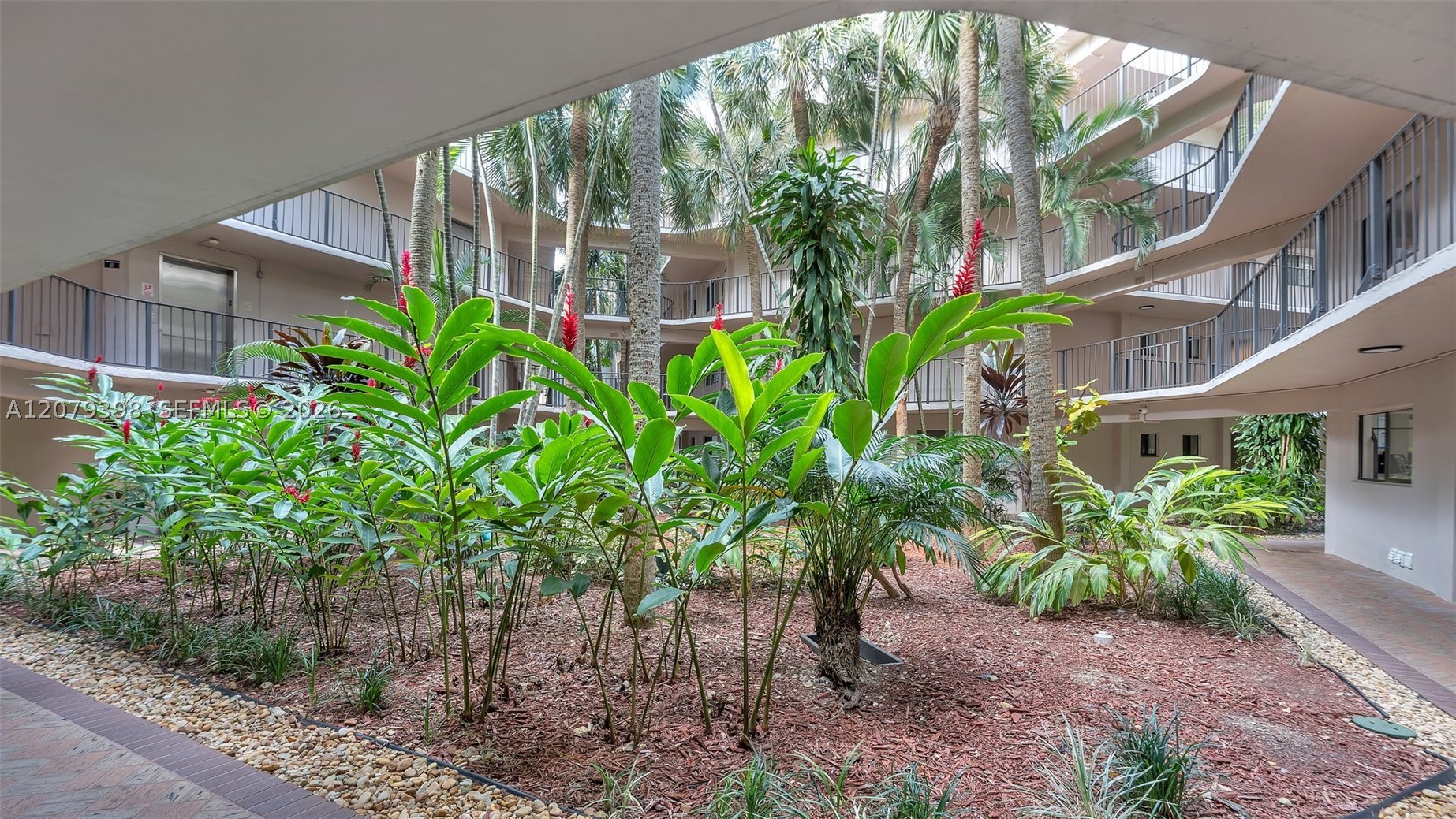 Miami photo 4