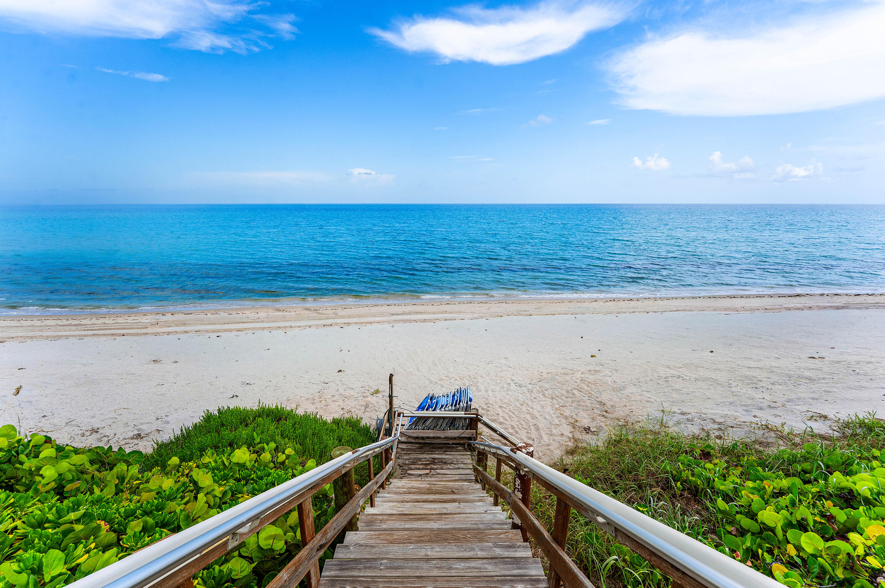 Palm Beach photo 3