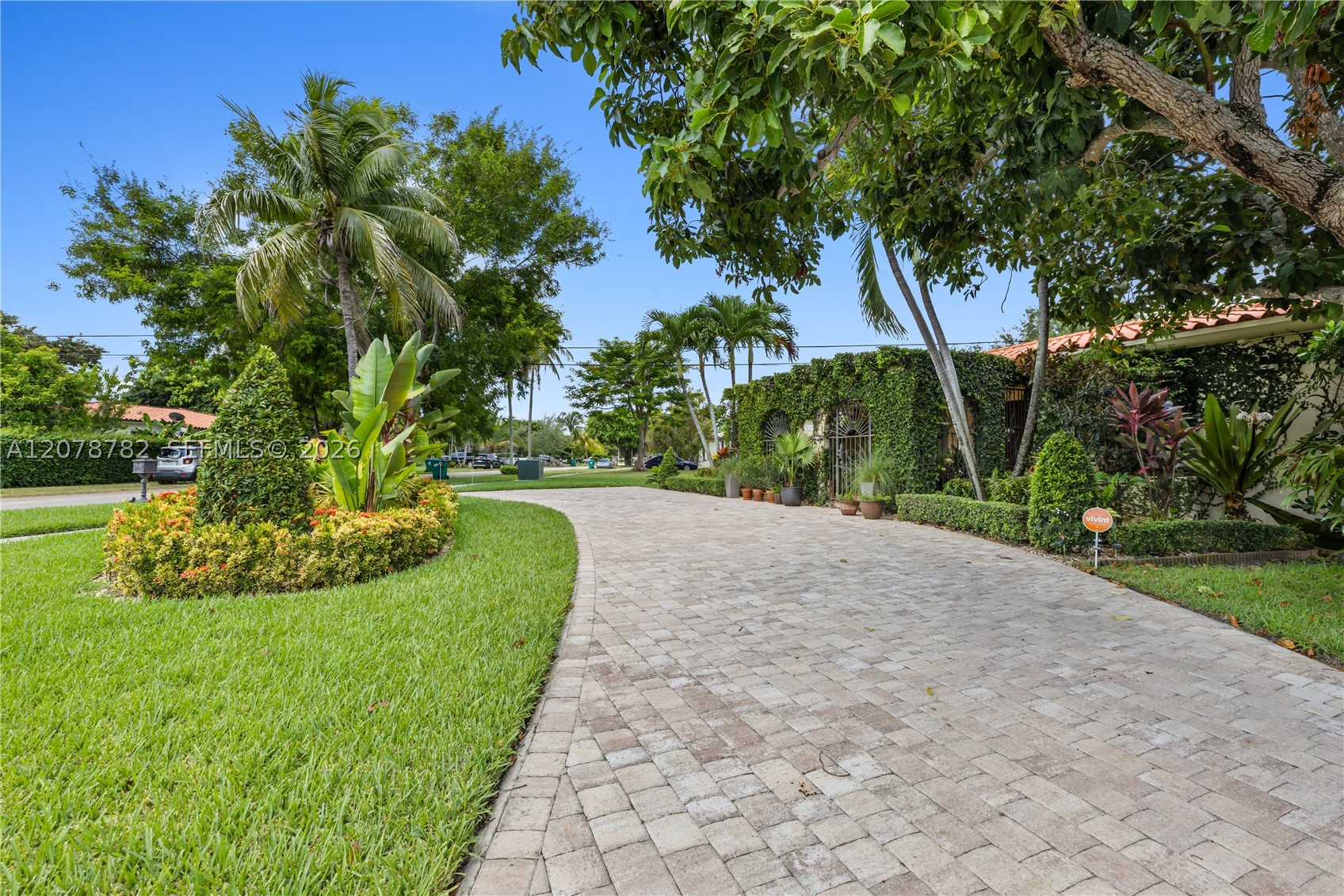 Miami photo 5