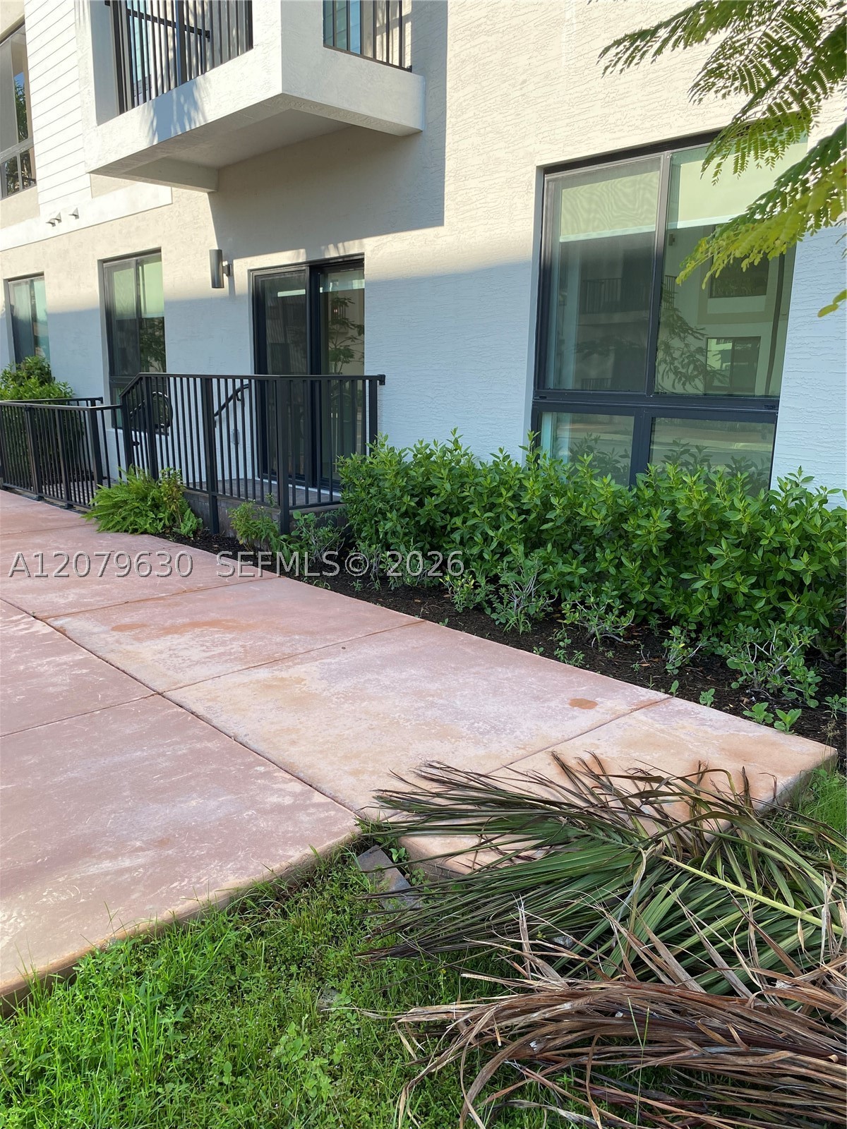 Doral photo 5
