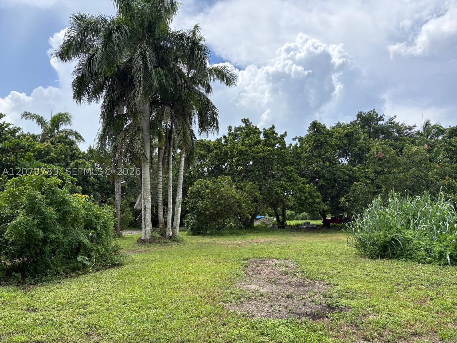 Miami photo 3