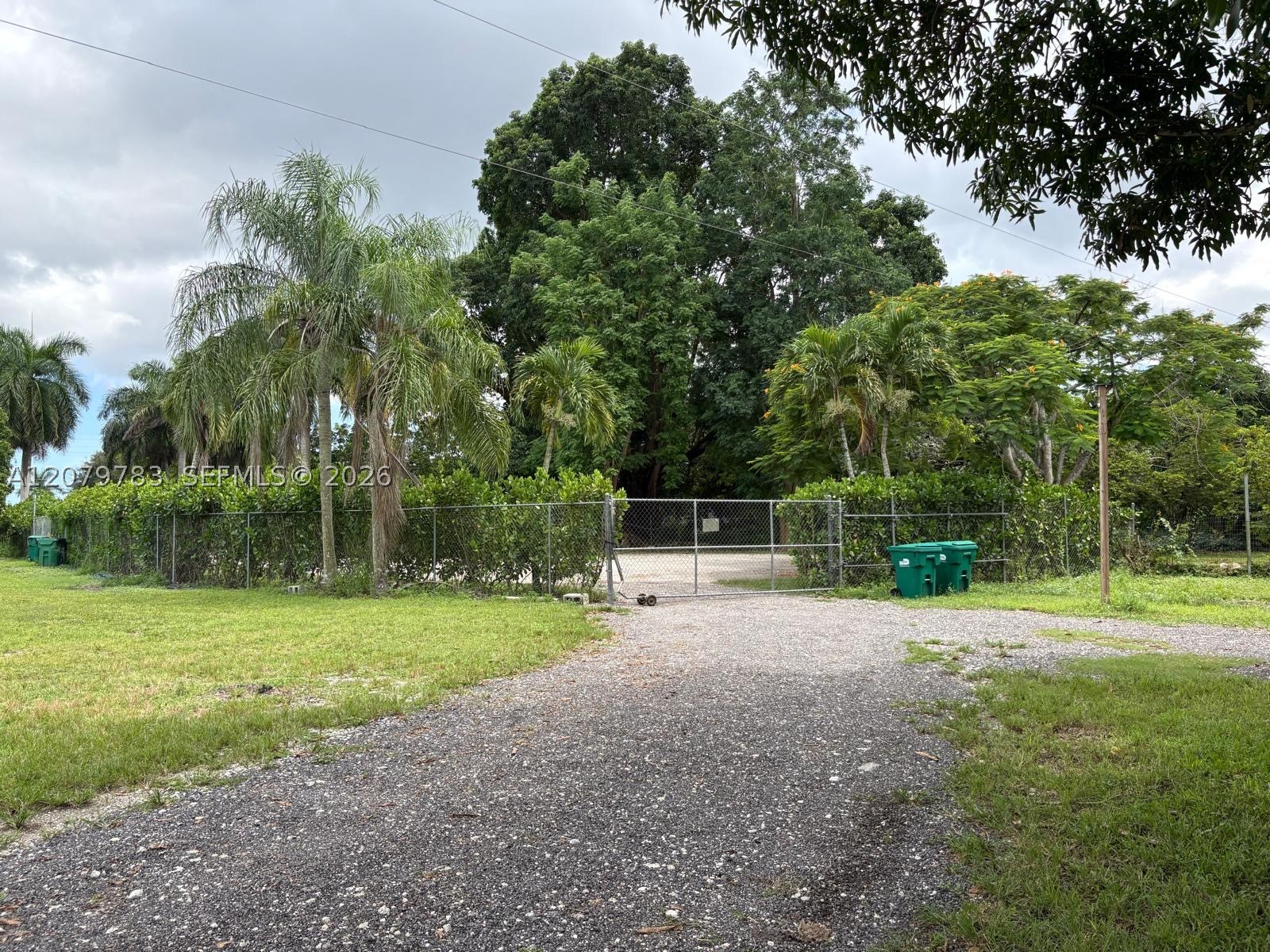Miami photo 4