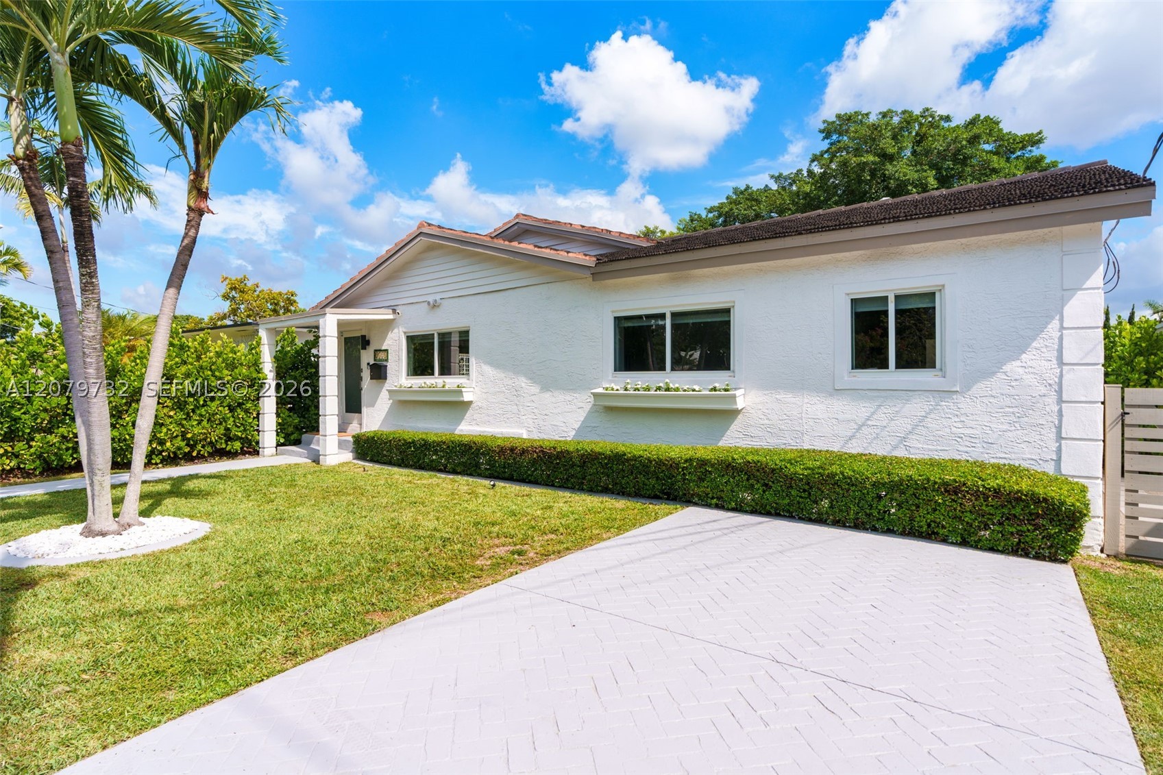 Miami photo 3