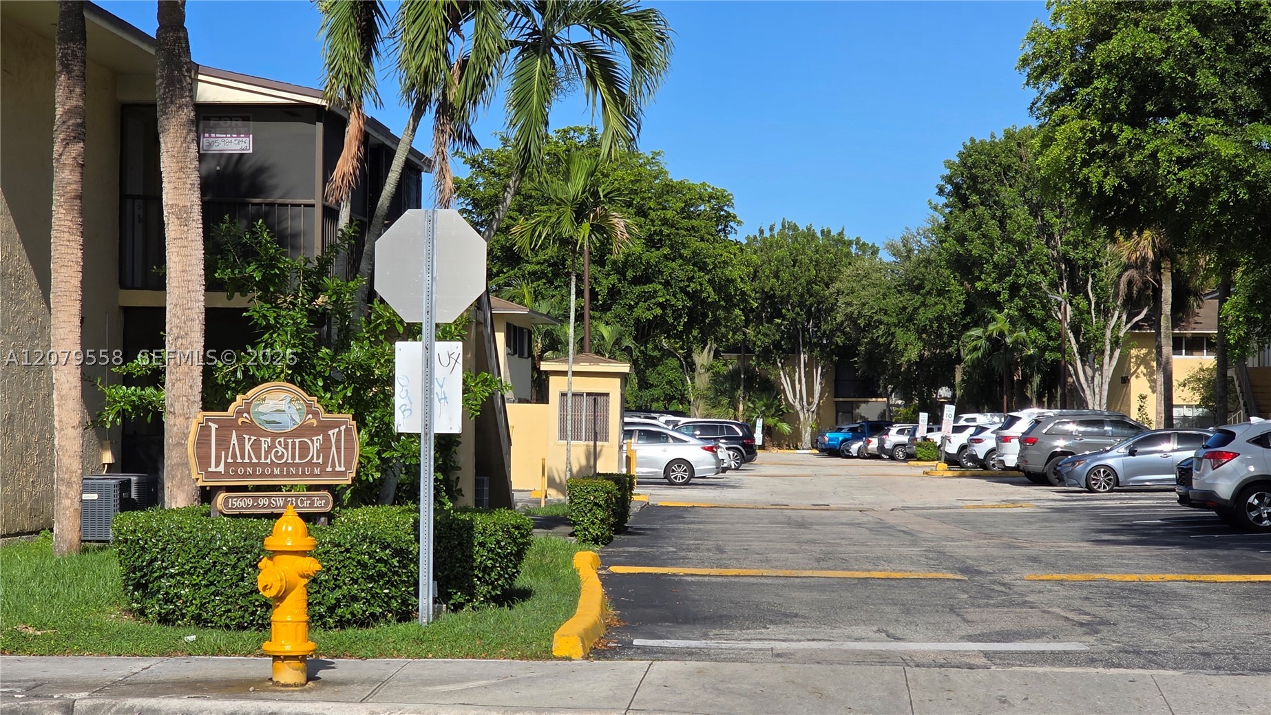 Miami photo 4