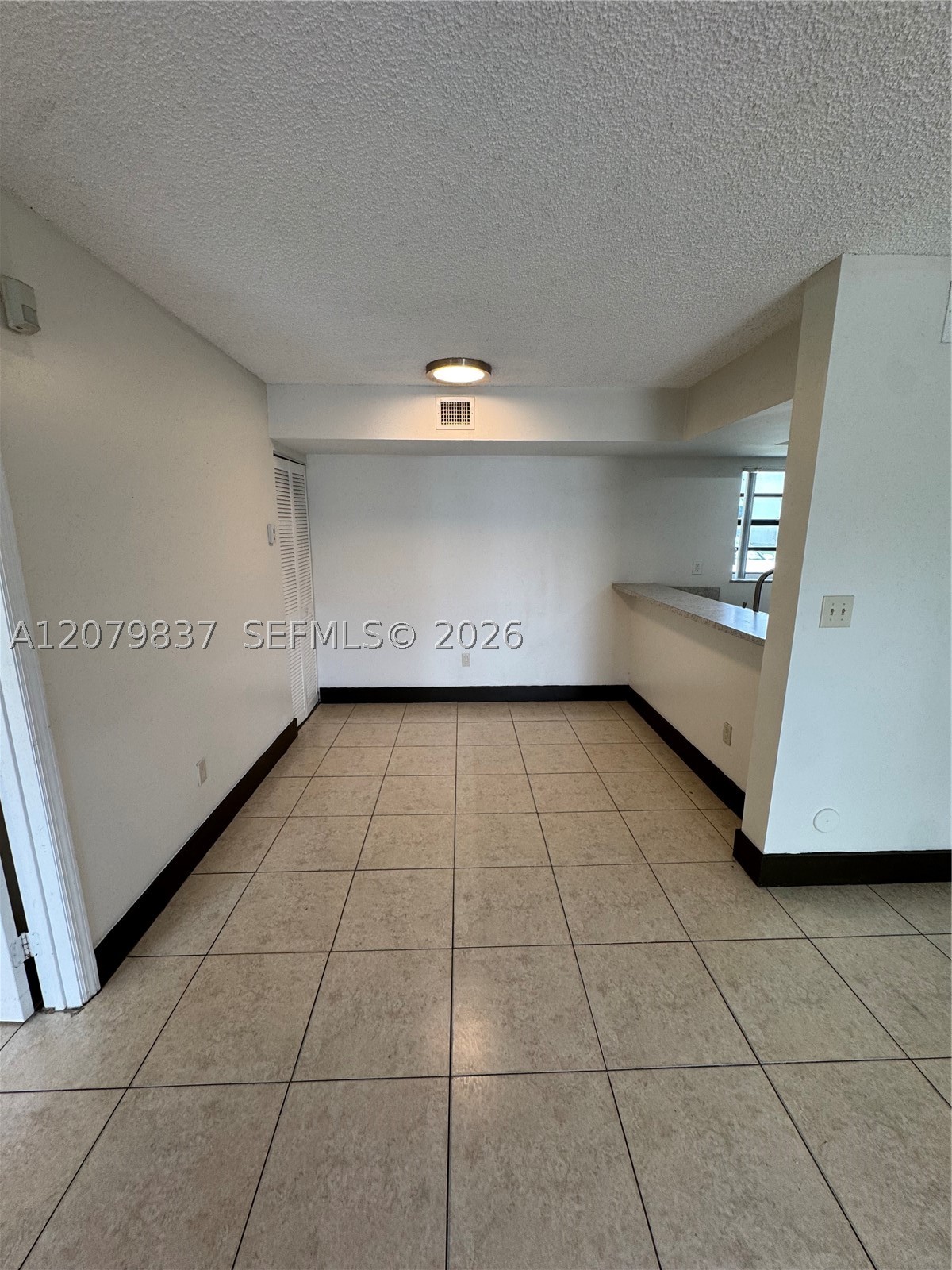 Miami photo 4
