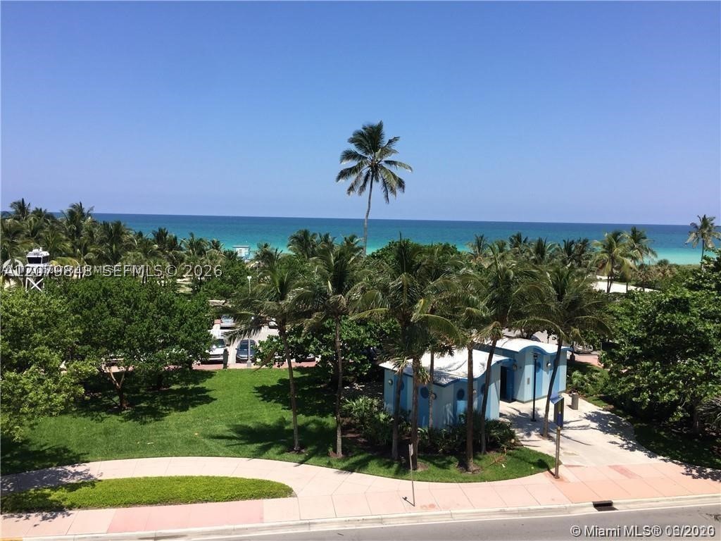 Miami Beach photo 3