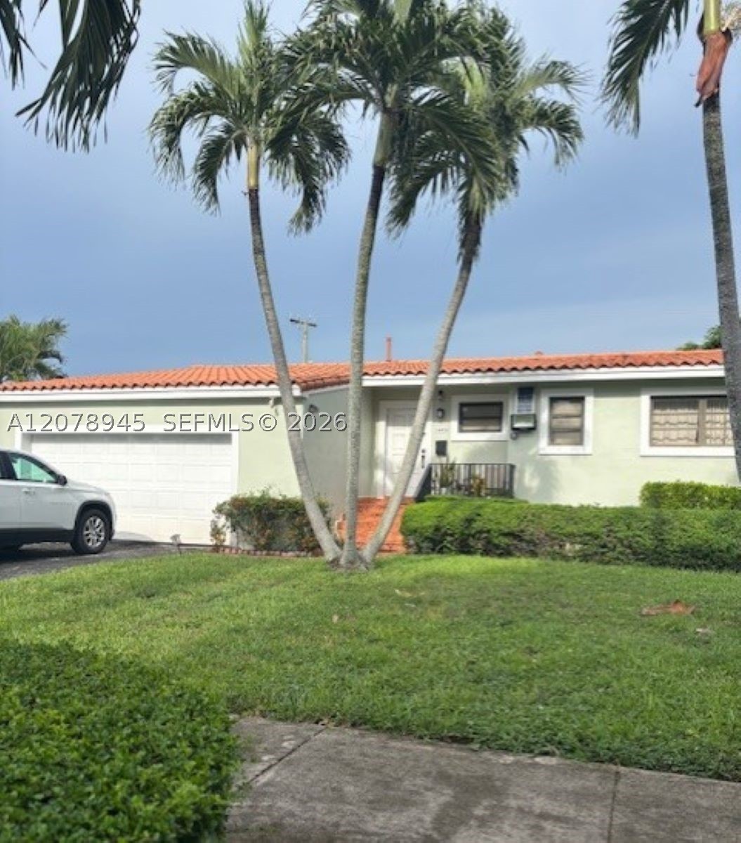 Miami photo 1