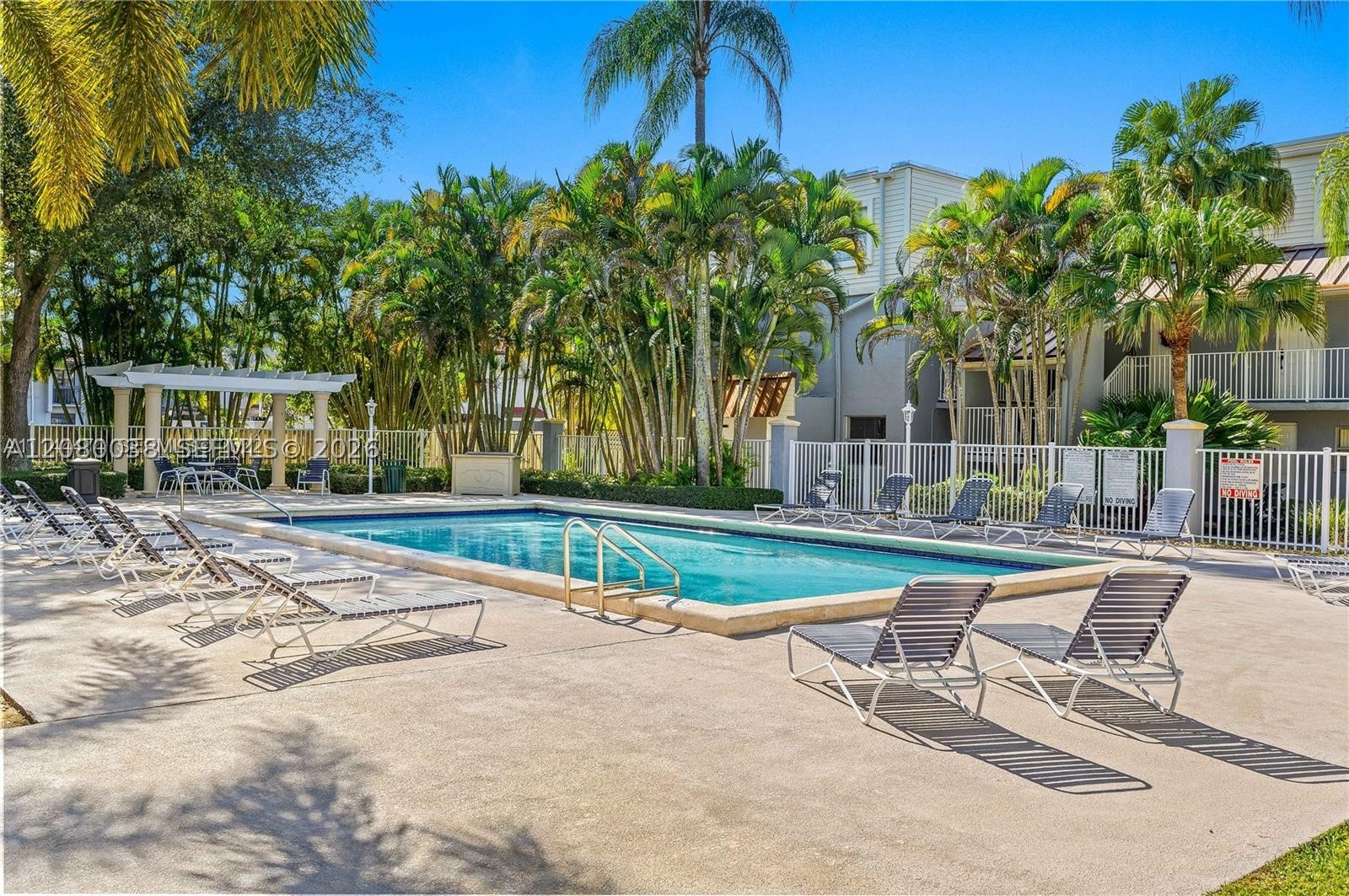 Miami photo 2