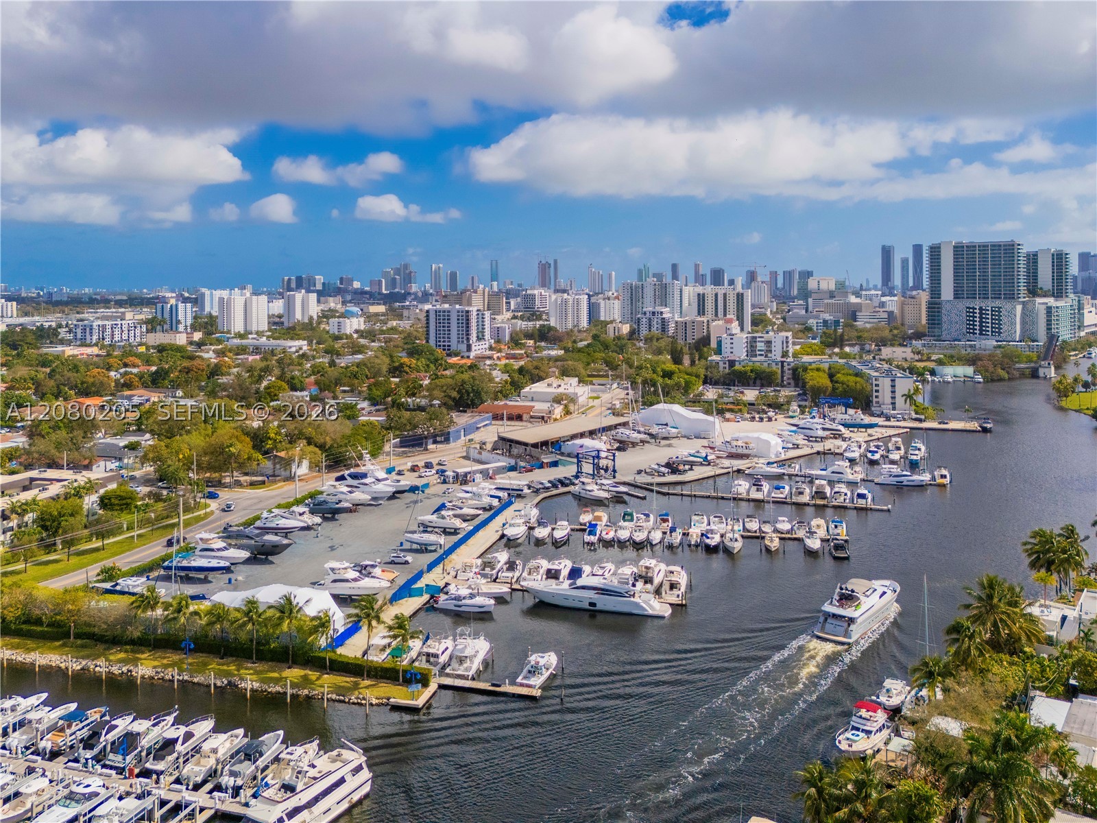 Miami photo 2