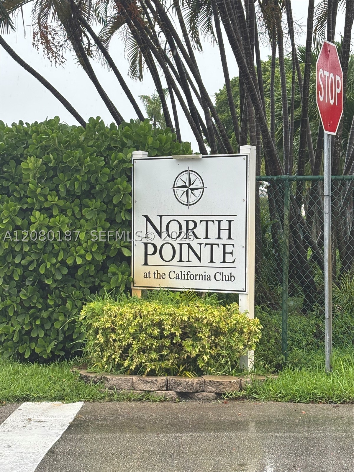 Miami photo 3