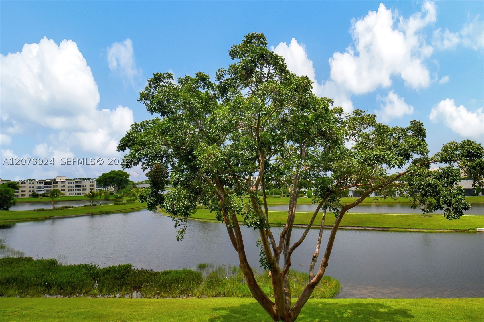 Delray Beach photo 5