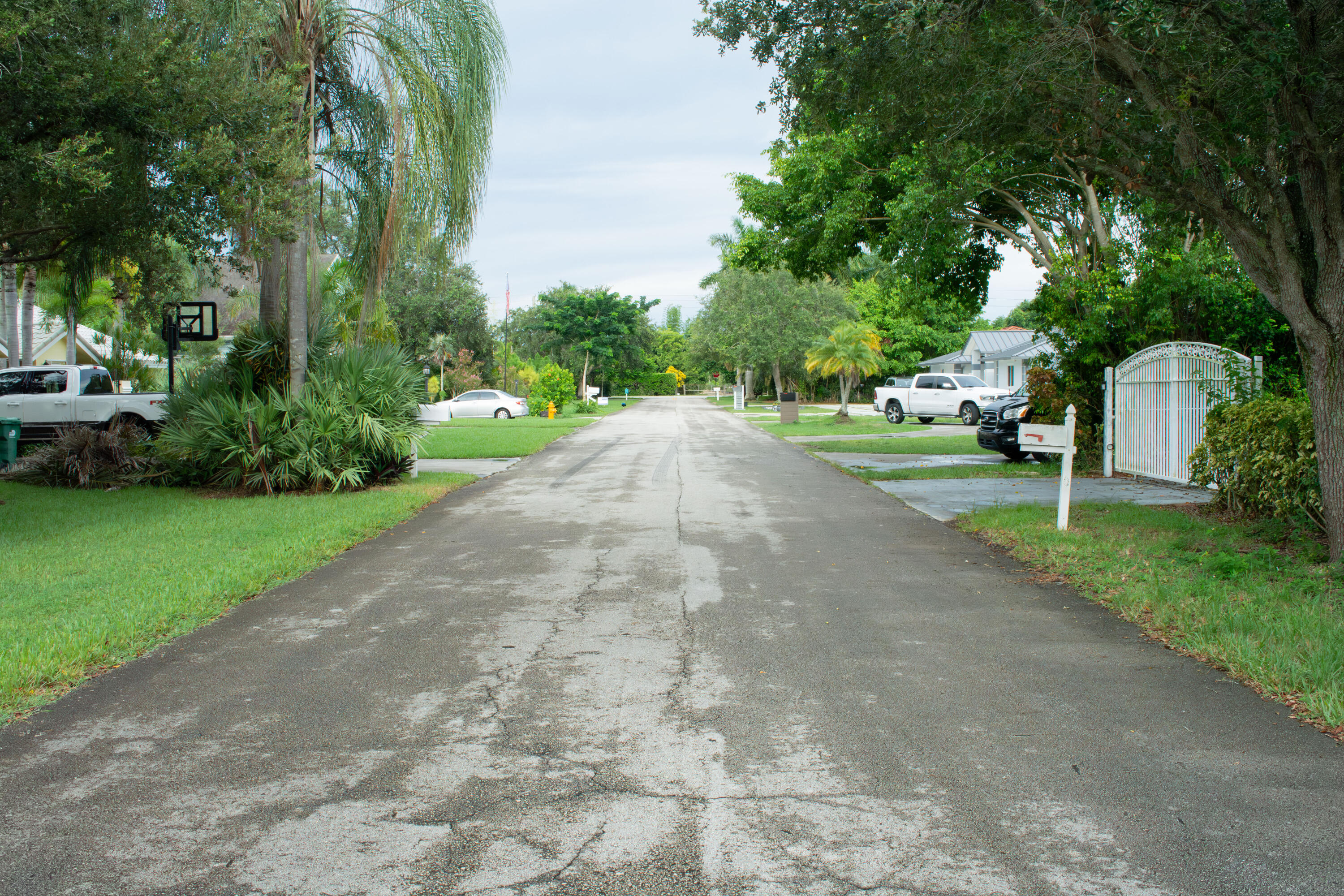 Homestead photo 4