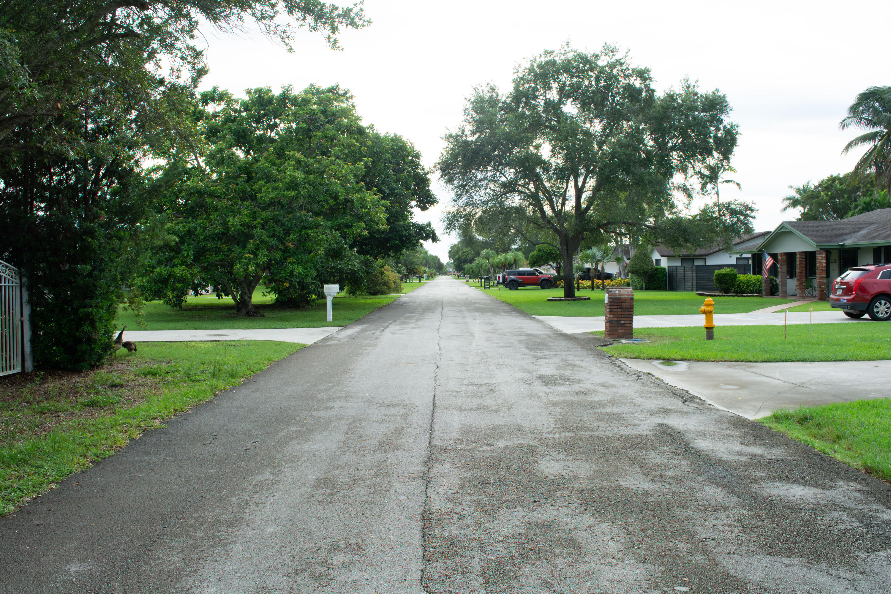 Homestead photo 5
