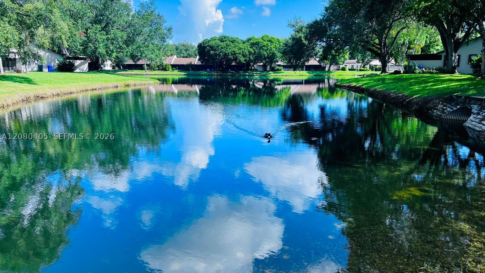 Pembroke Pines photo 1