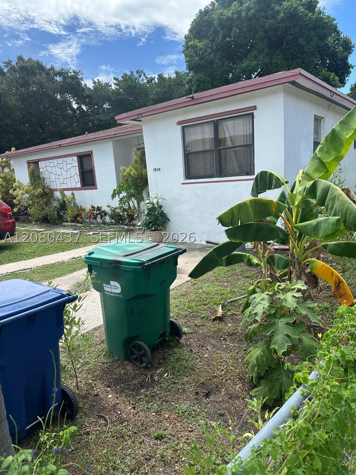 Miami photo 4