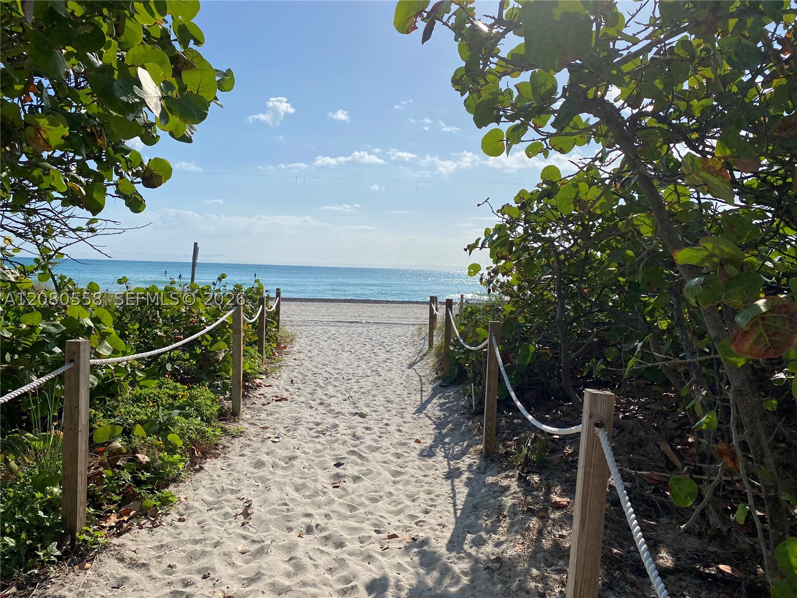Miami Beach photo 1