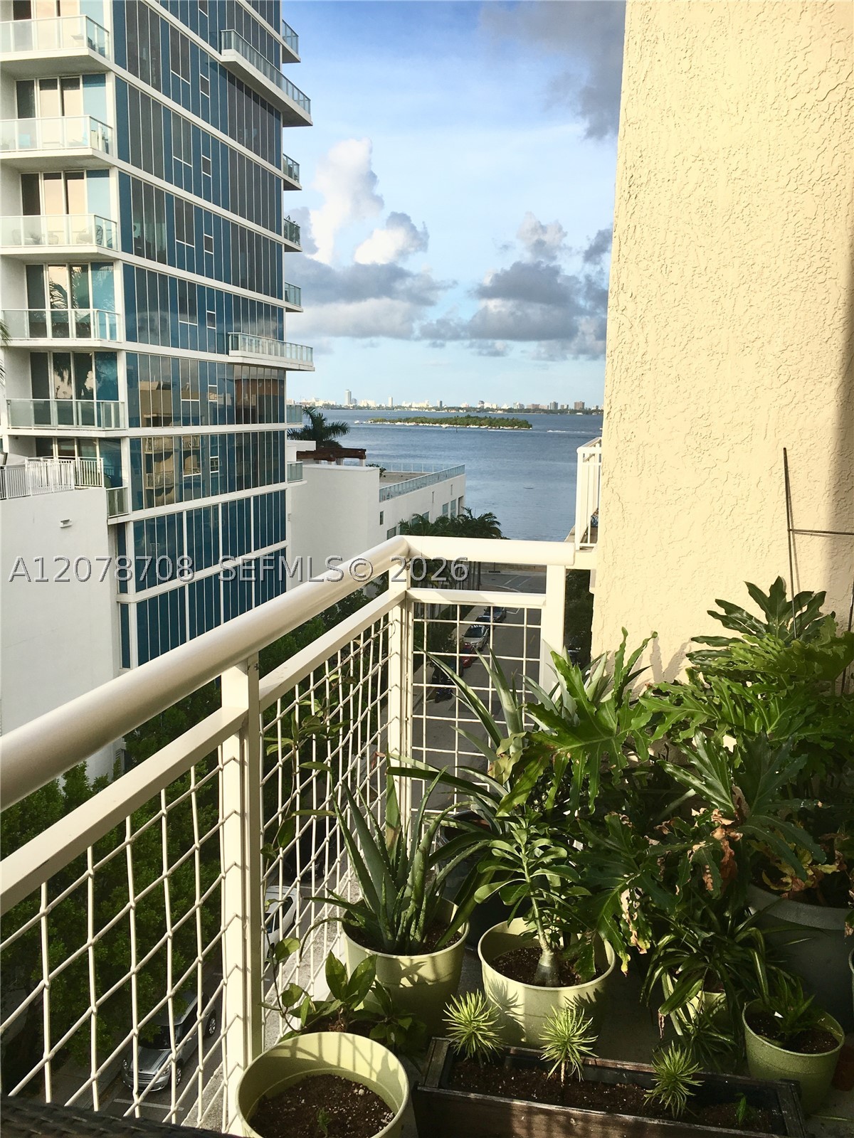 Miami photo 1