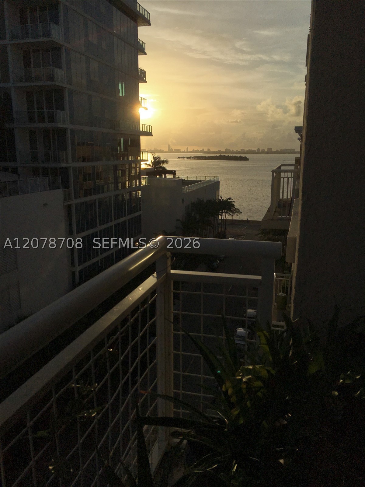 Miami photo 2