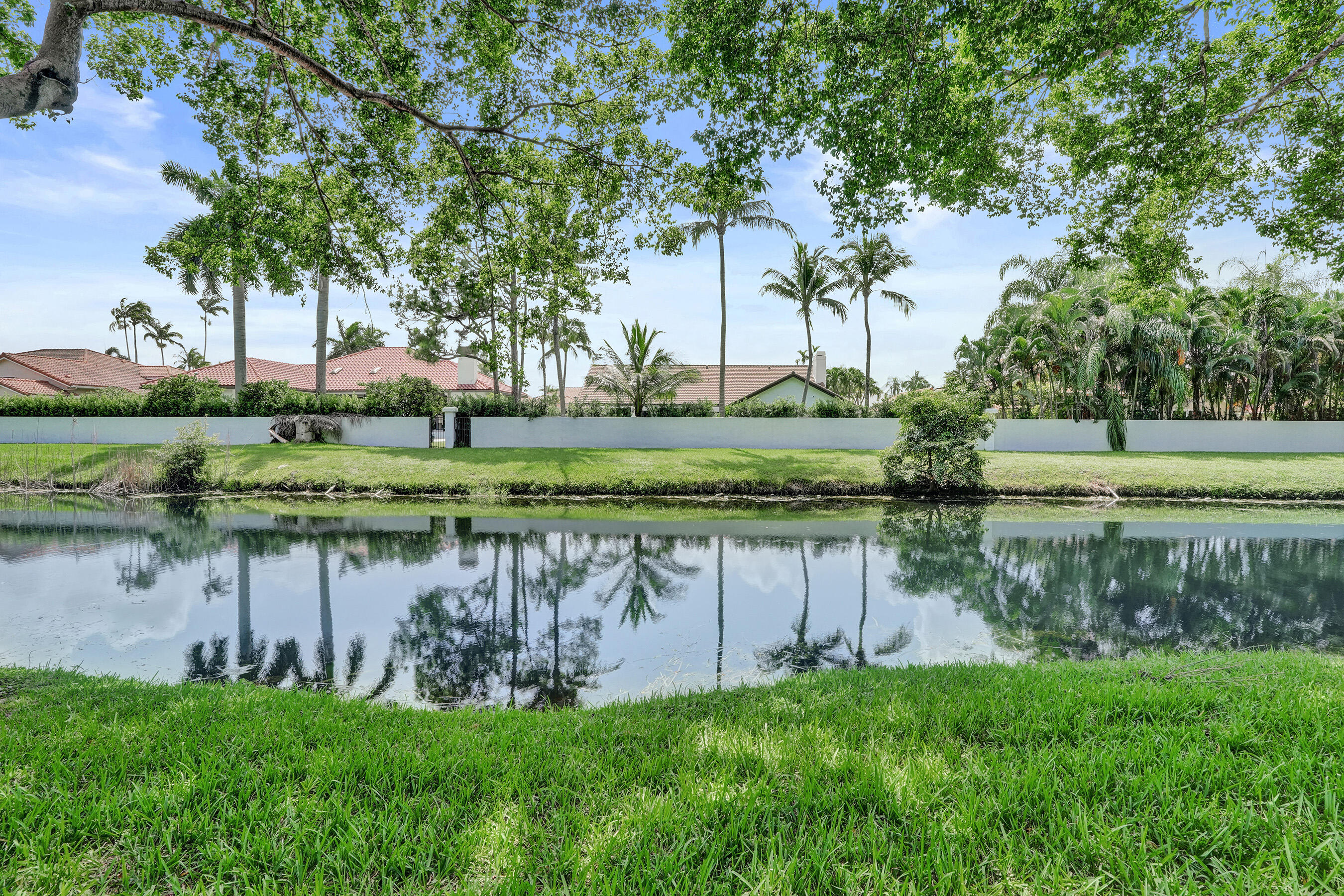 Plantation photo 4