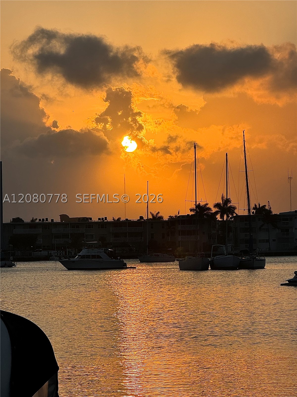 Hallandale Beach photo 5