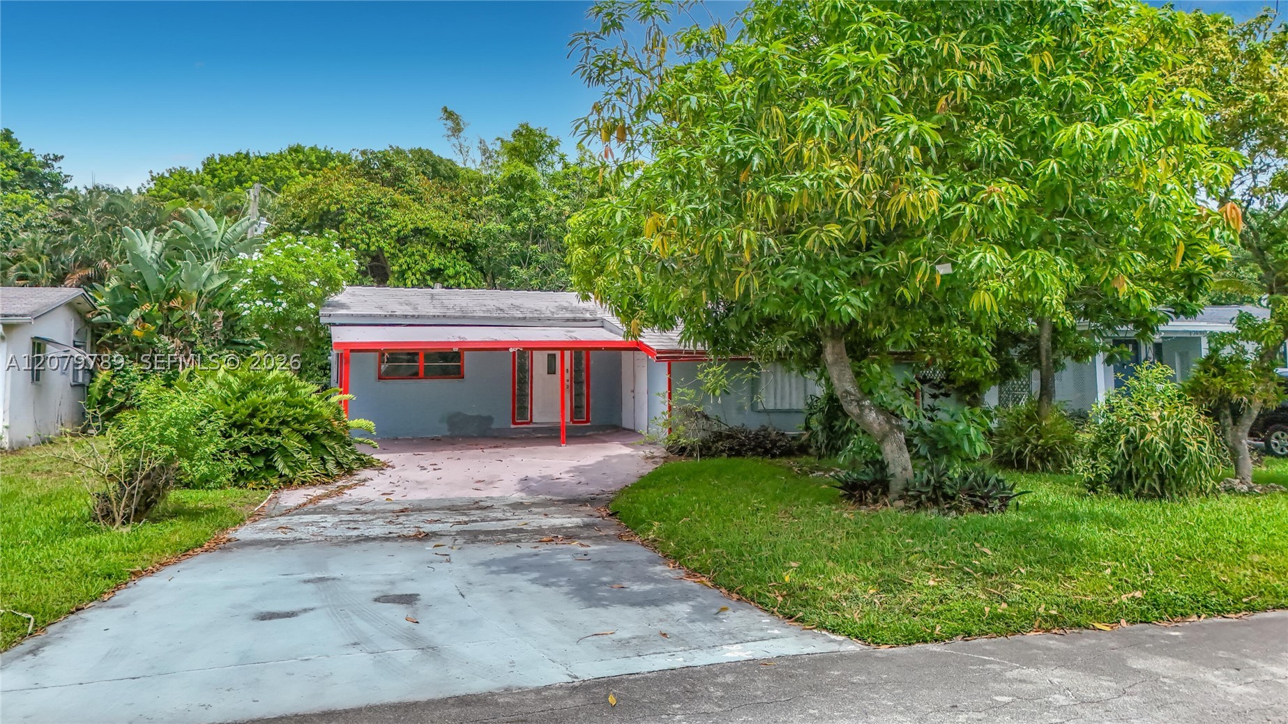 Hollywood photo 2