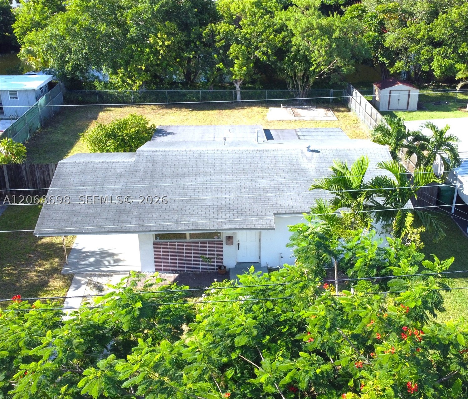 Miami photo 5