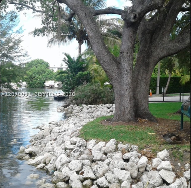 Miami photo 3