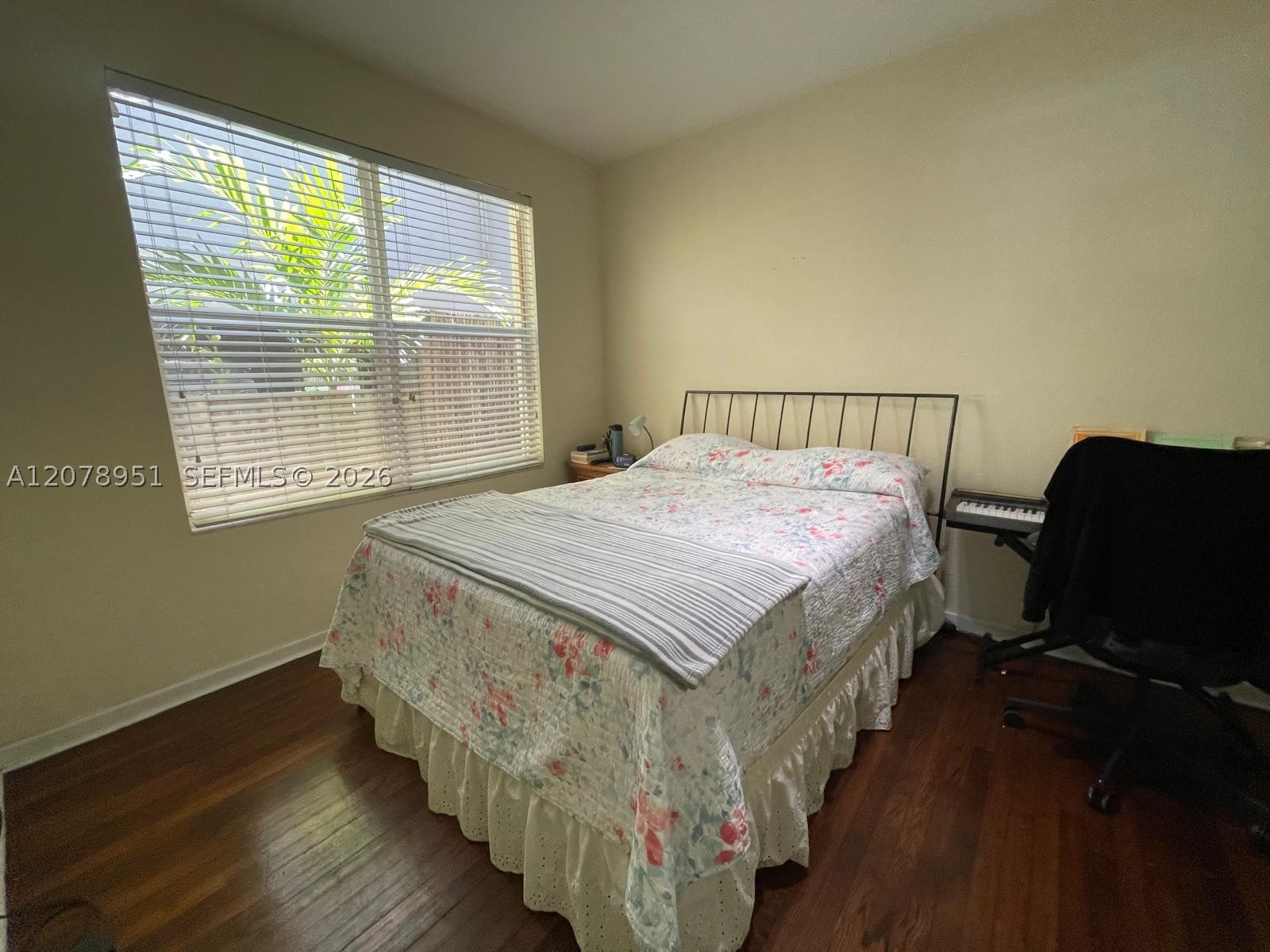 Miami photo 5