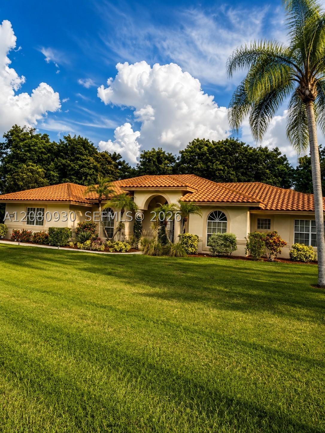 Plantation photo 1