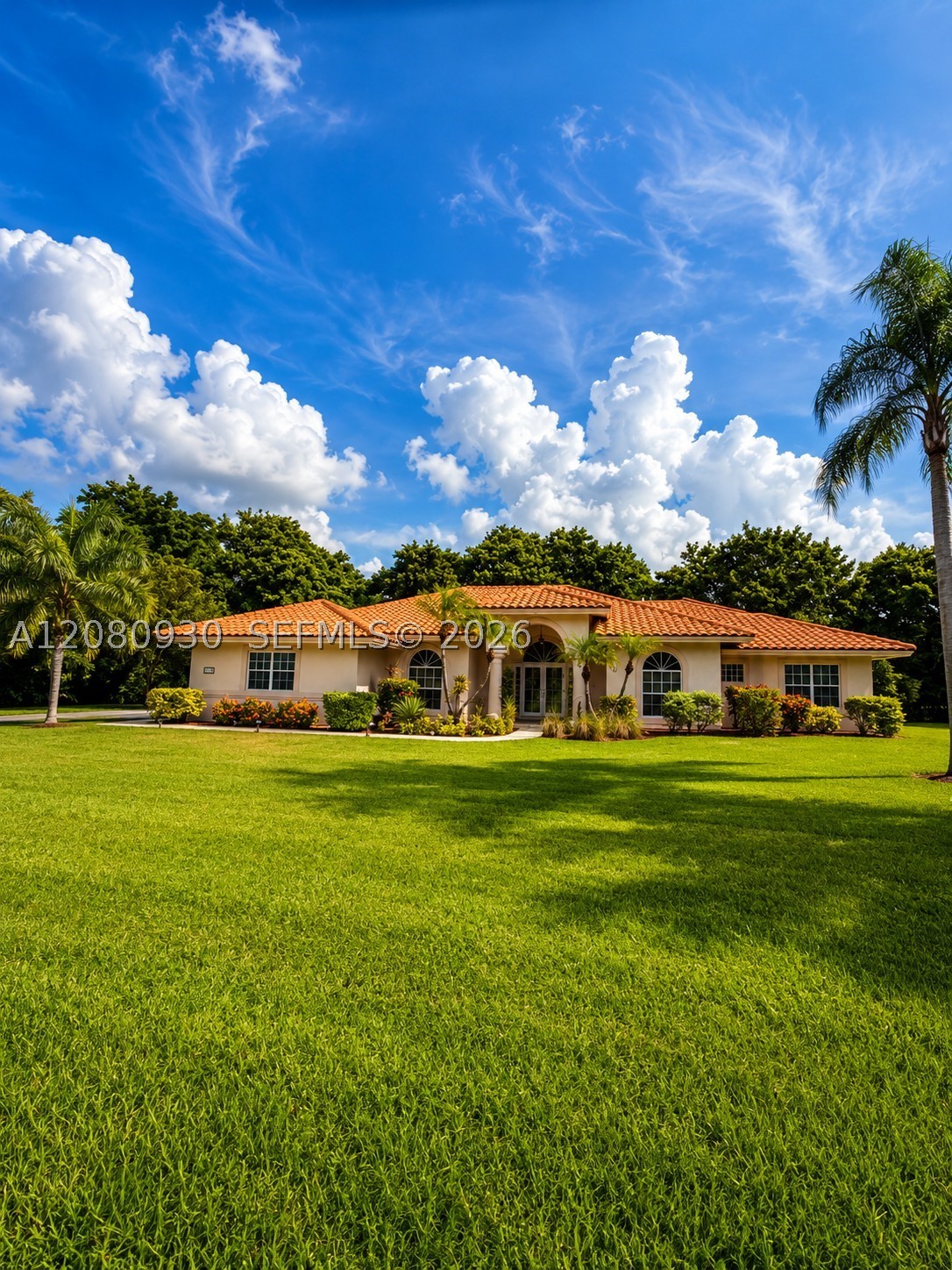Plantation photo 2