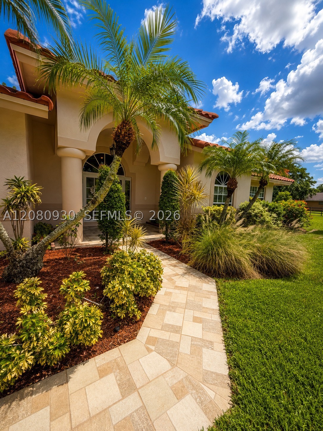 Plantation photo 4