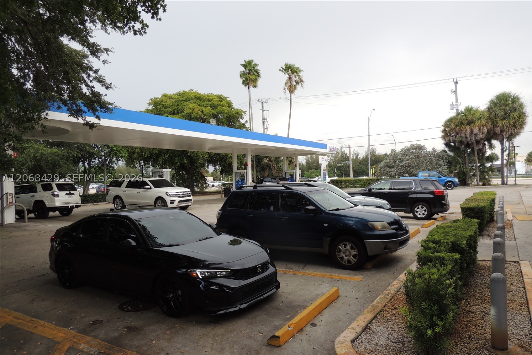 Pembroke Pines photo 3