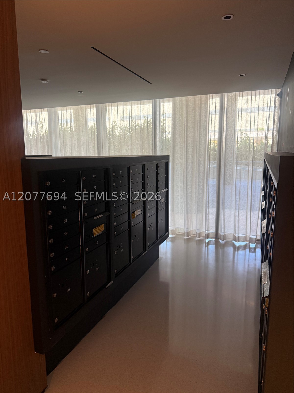 Miami photo 5