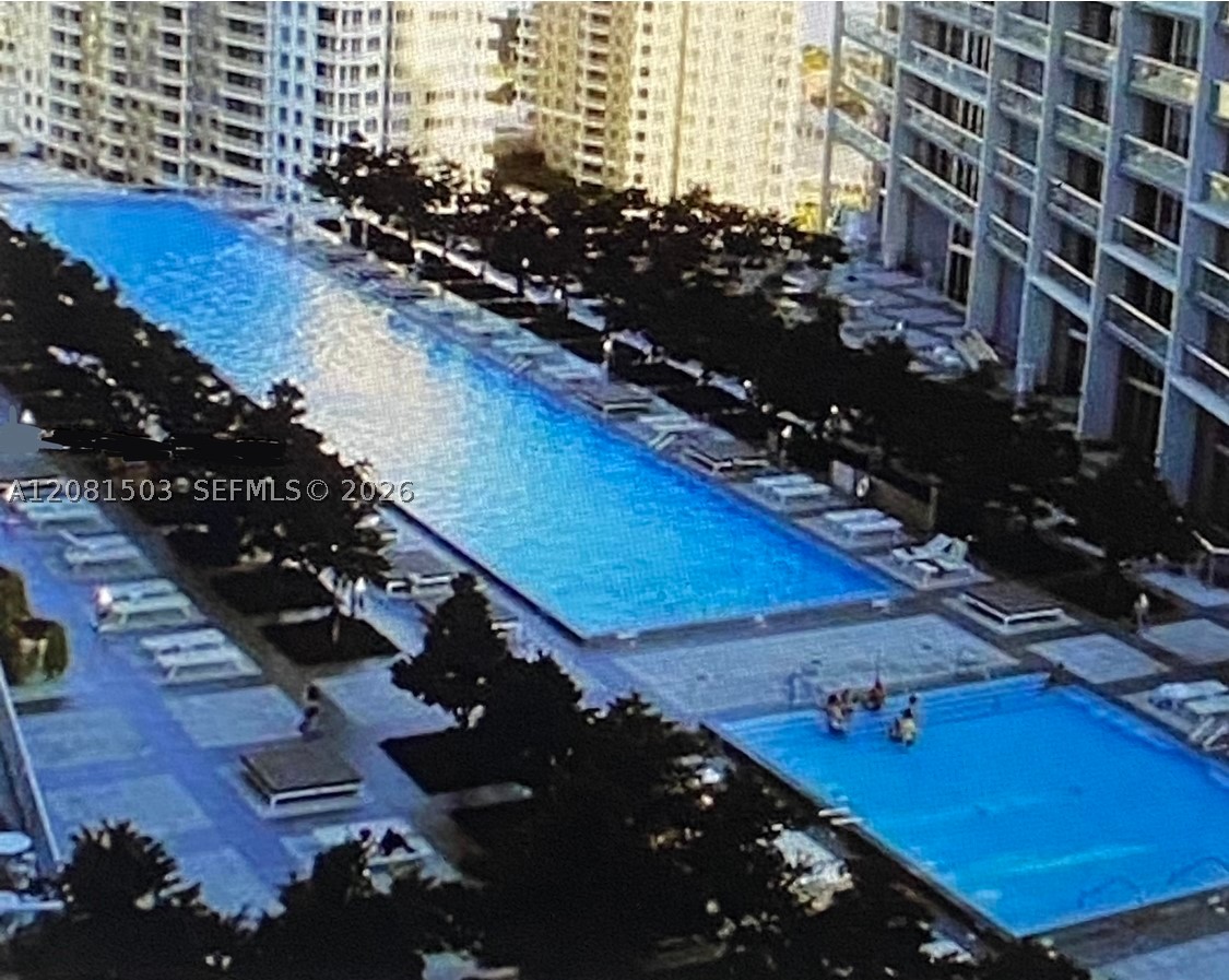 Miami photo 5