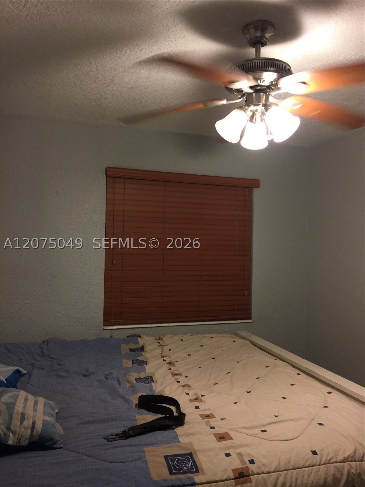 Miami photo 4