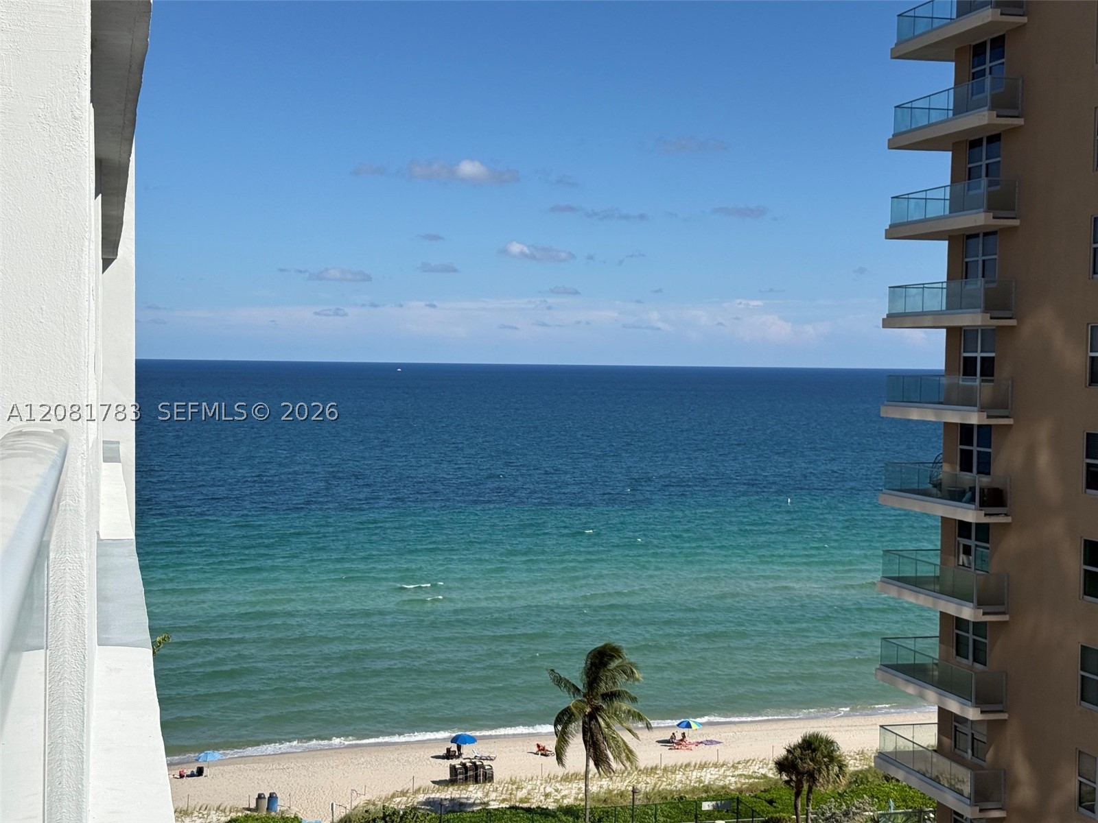 Hallandale Beach photo 5
