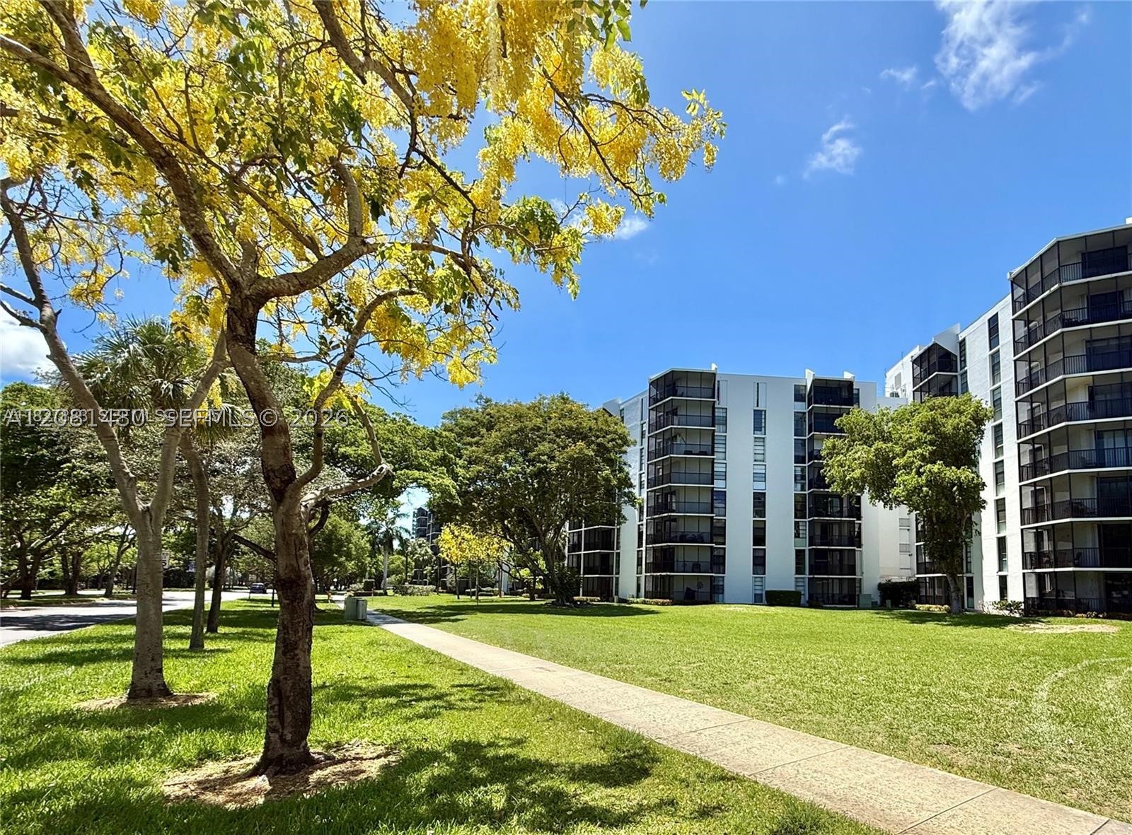 Aventura photo 2