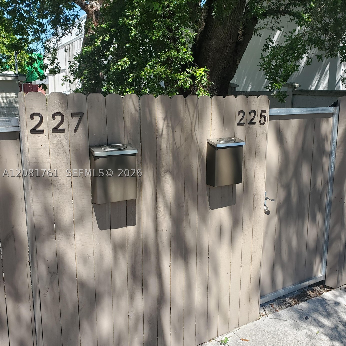 Miami photo 1