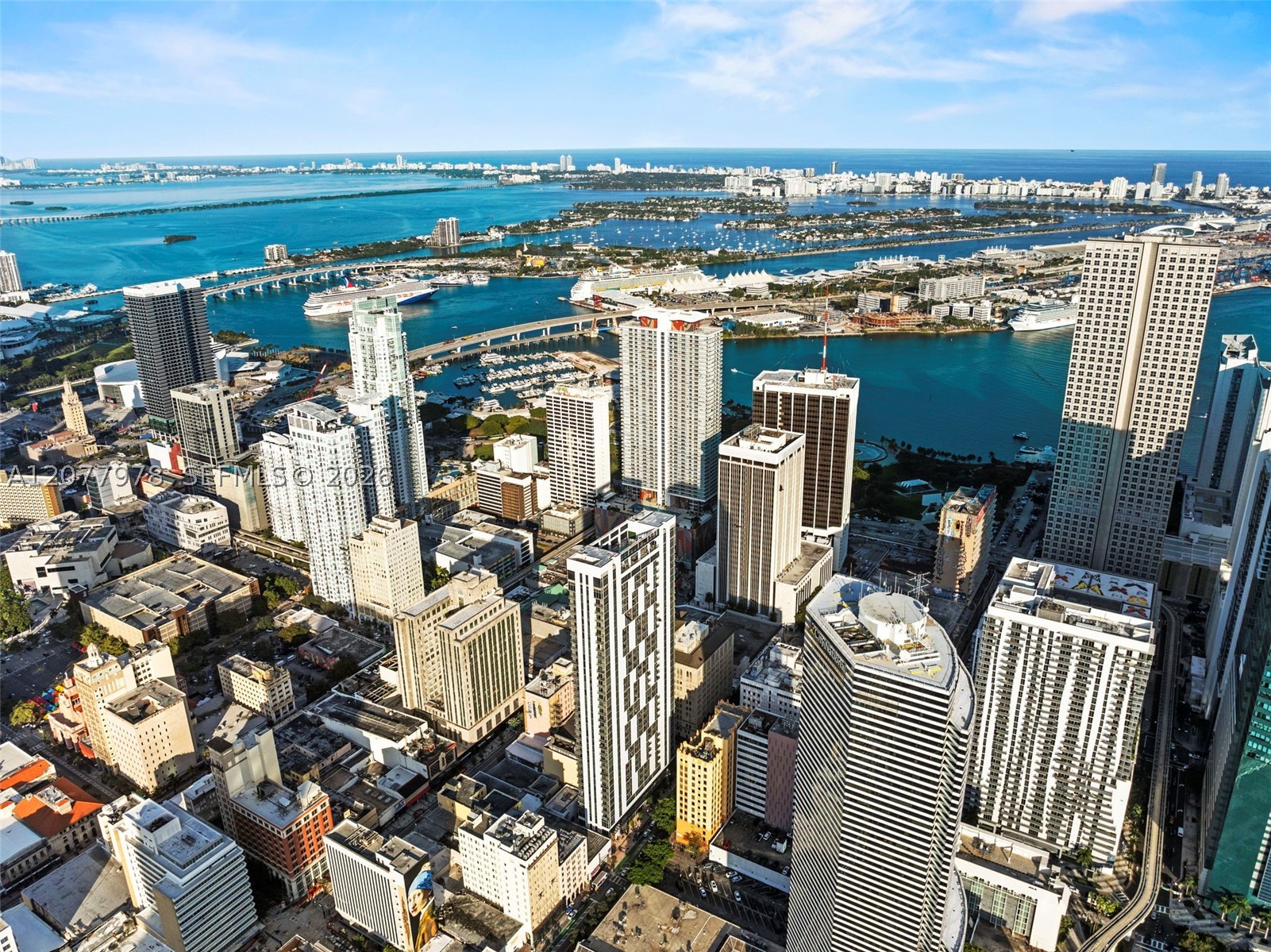 Miami photo 1