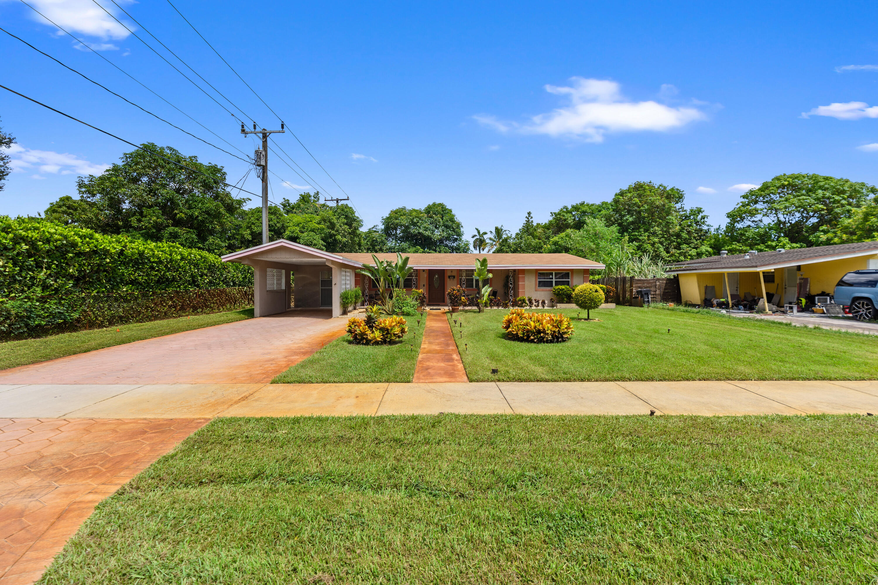 Plantation photo 1