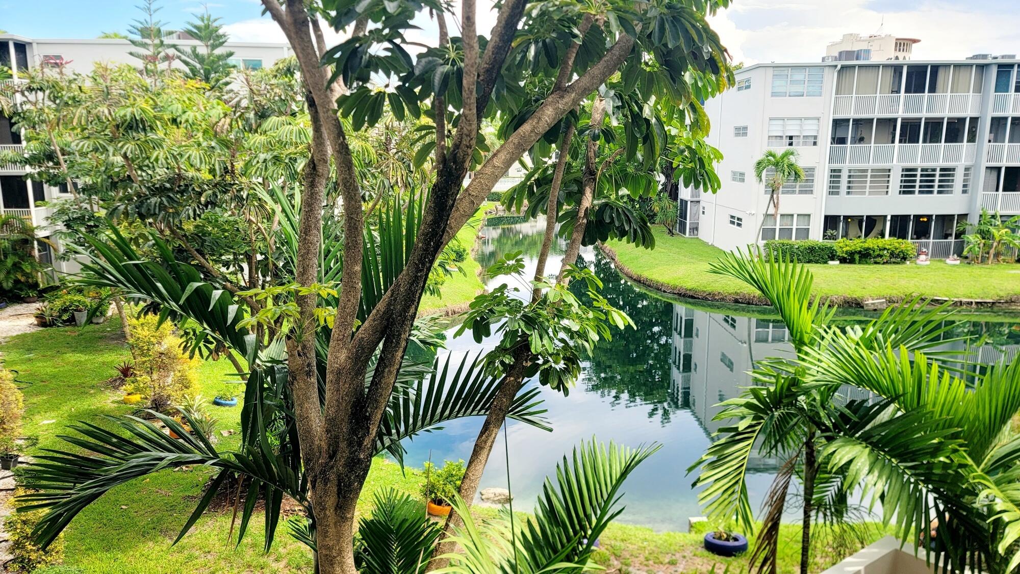 Miami photo 4