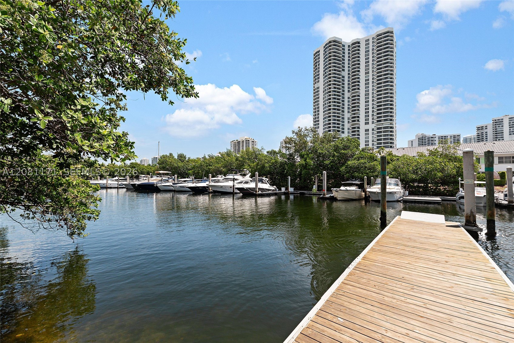 Aventura photo 3