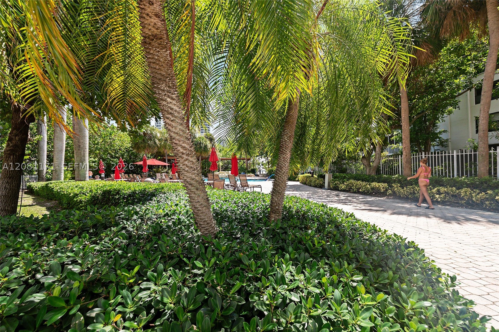 Aventura photo 4