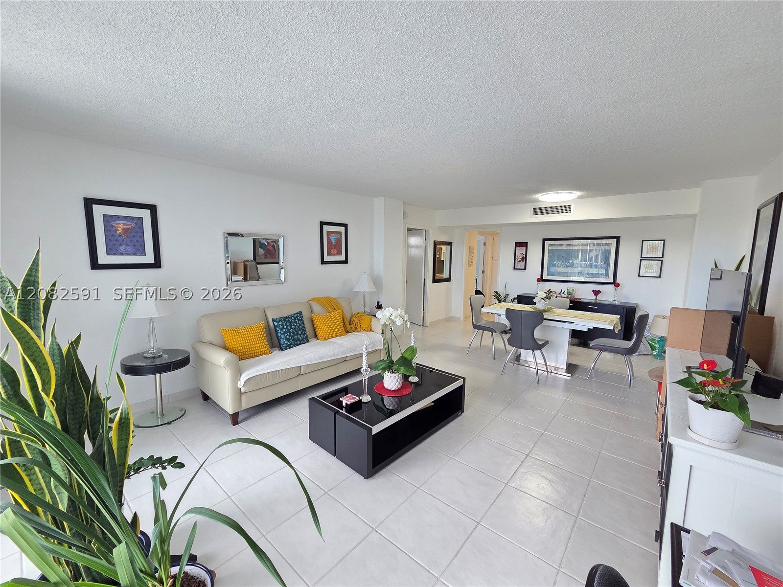 North Miami Beach photo 3