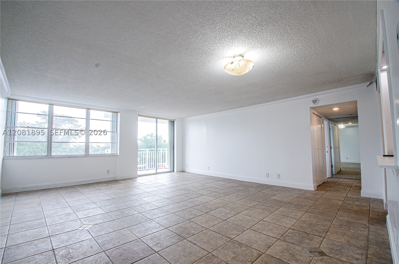 North Miami photo 4