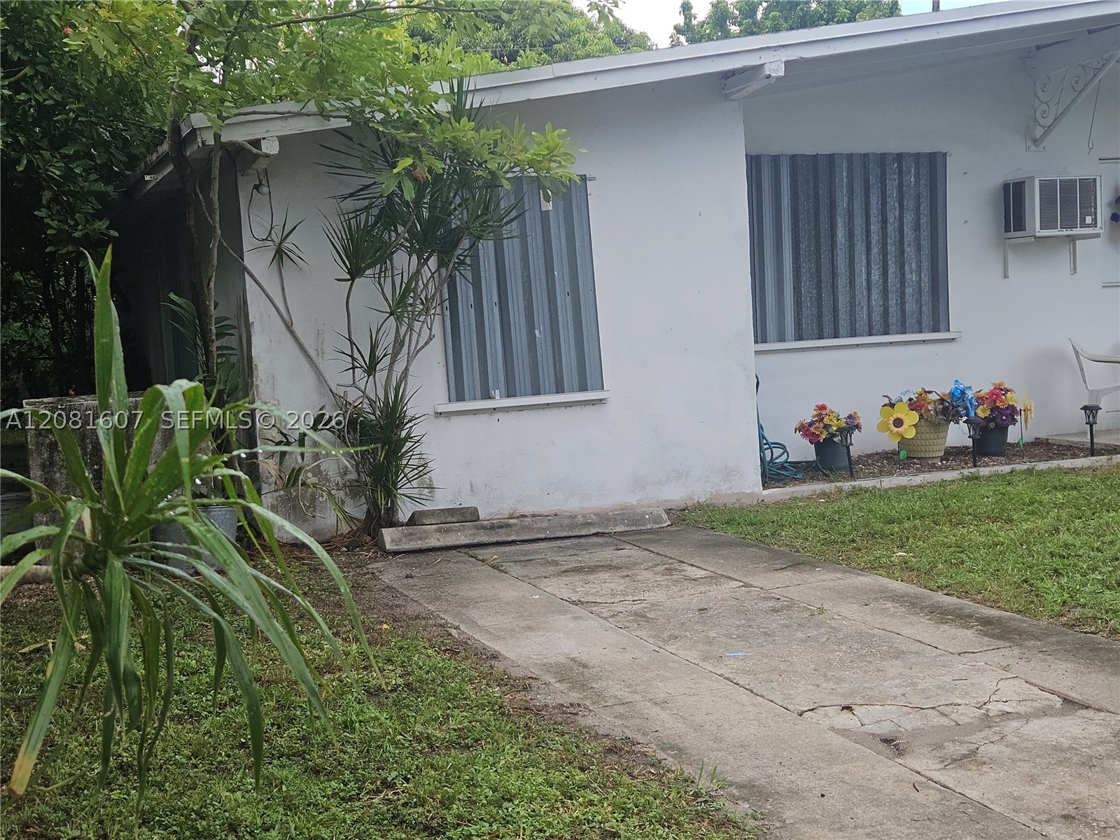 Miami photo 4