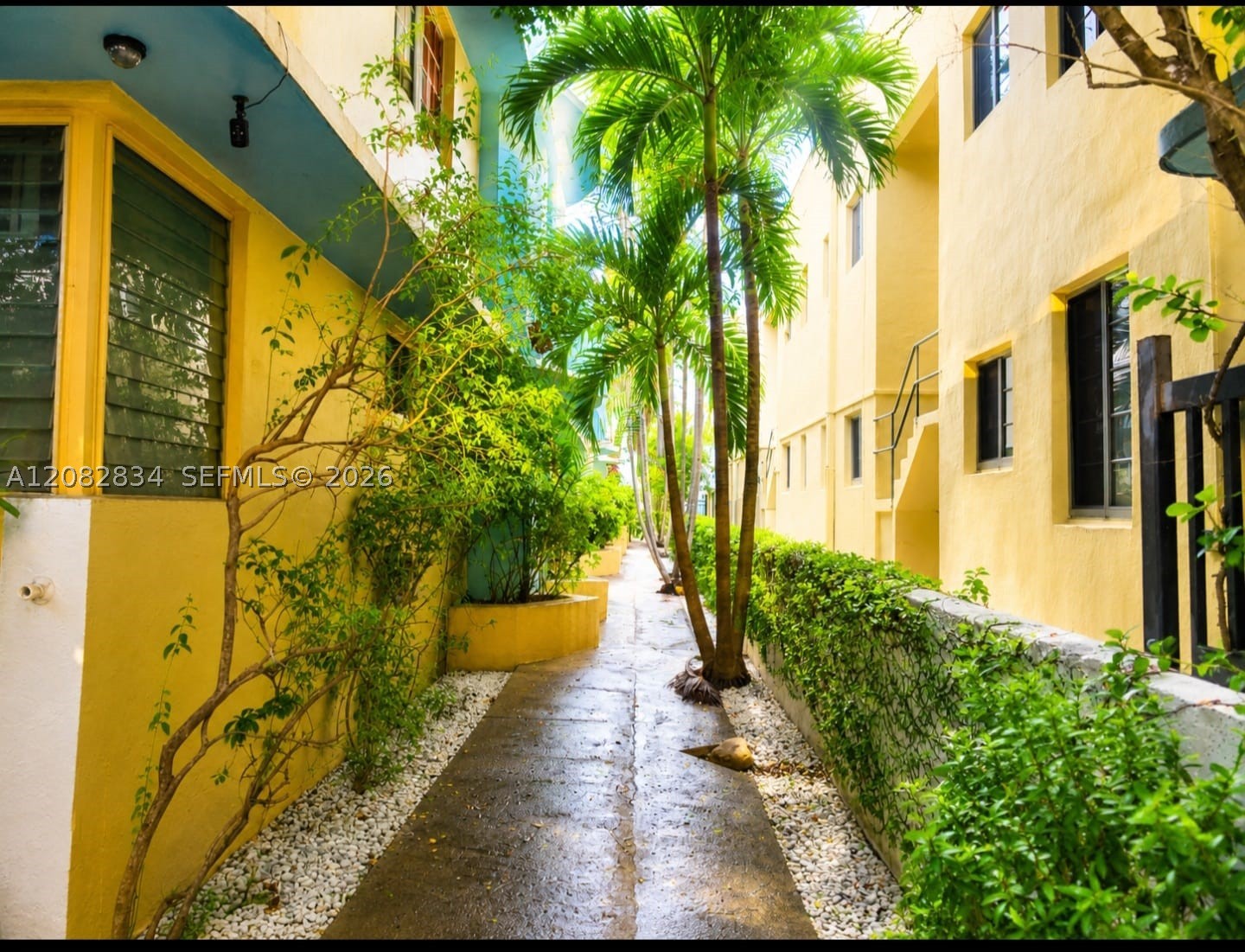 Miami Beach photo 3