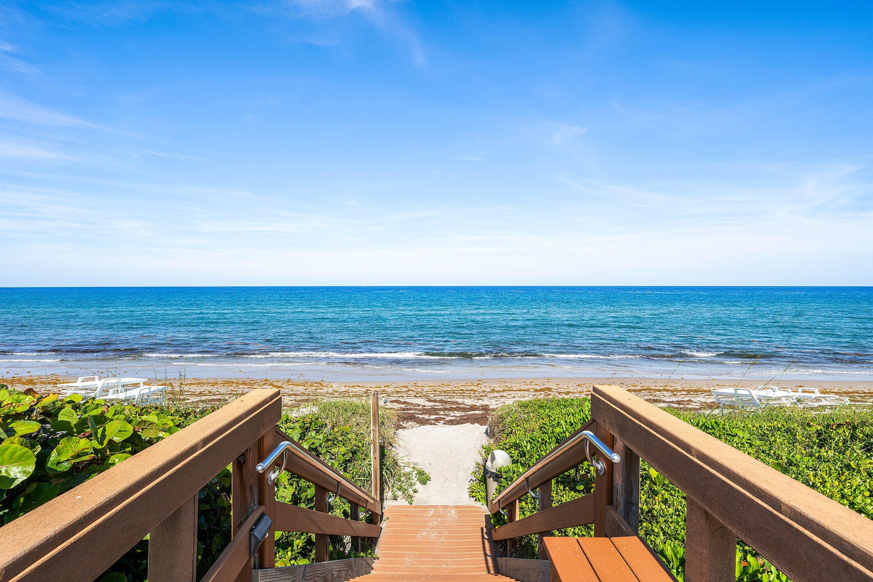 Palm Beach photo 1