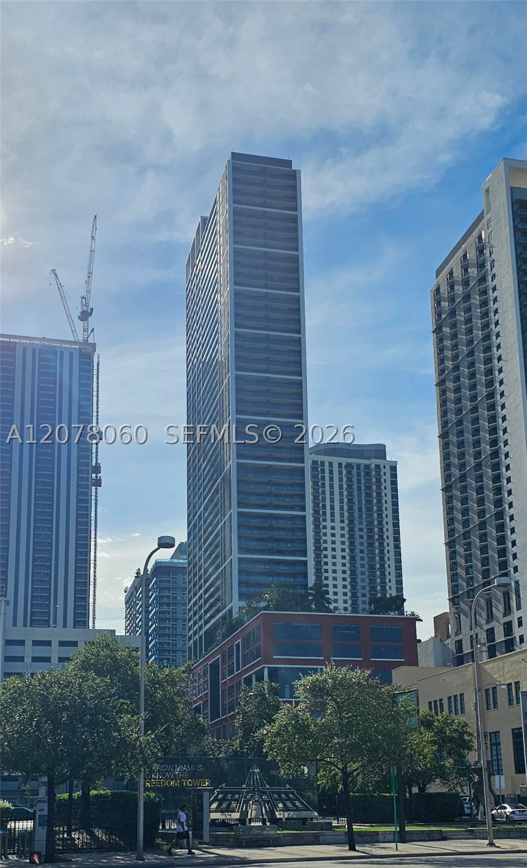 Miami photo 2