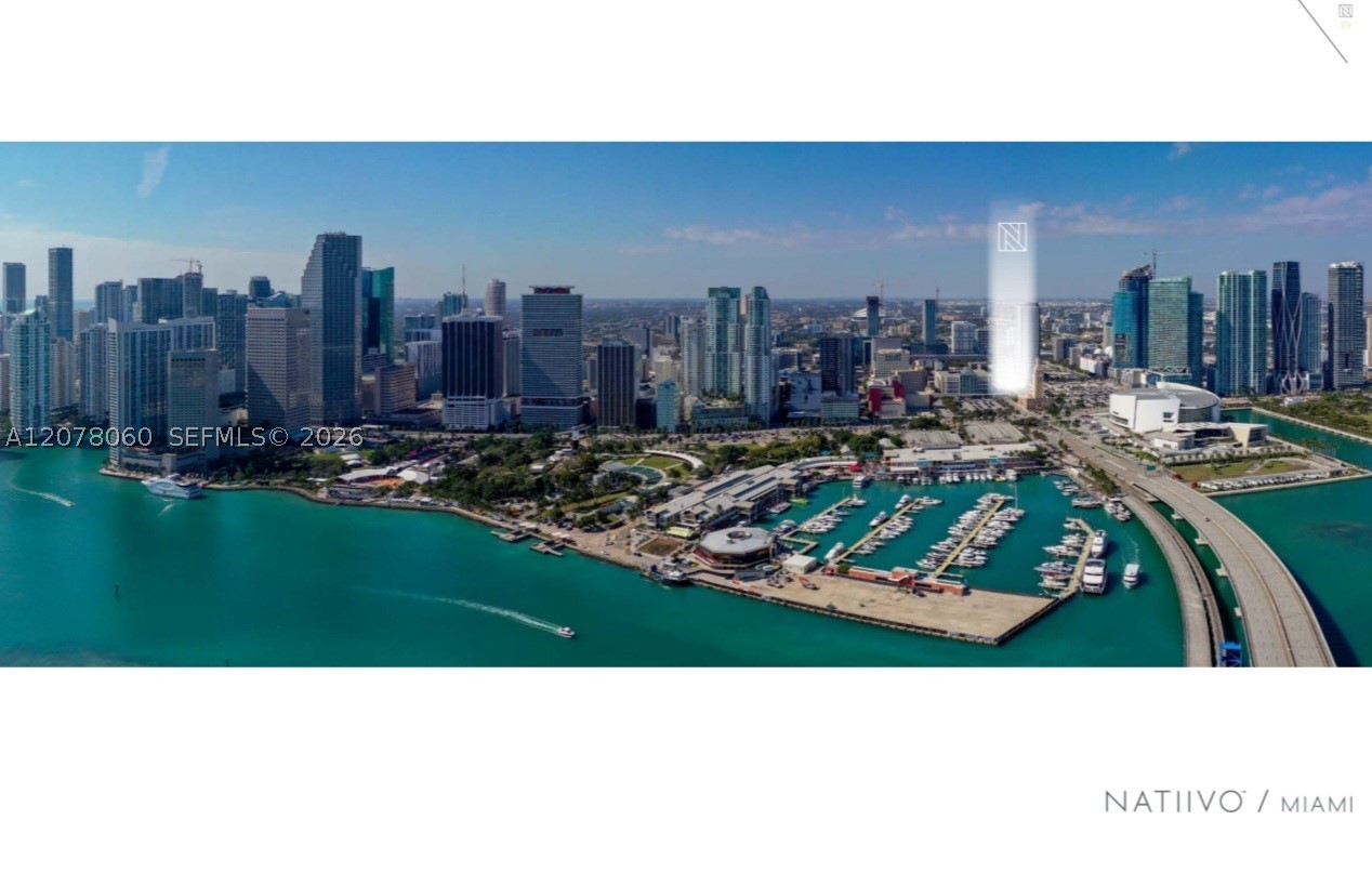 Miami photo 4